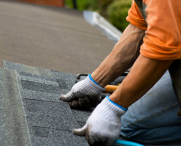 Best Roof Gutter Cleaning  in Bay Minette, AL