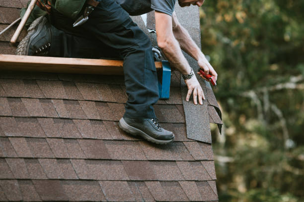 Professional Roofing Contractor in Bay Minette, AL